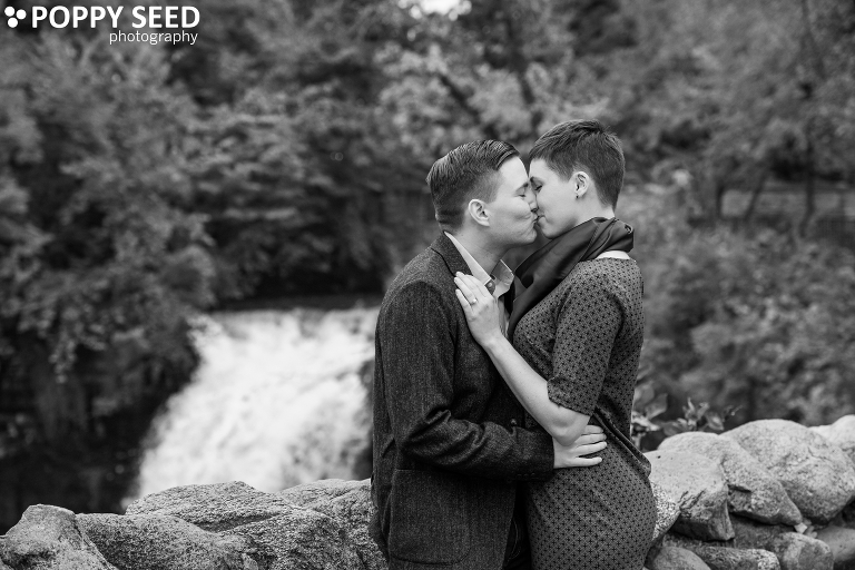 Poppy Seed Photography